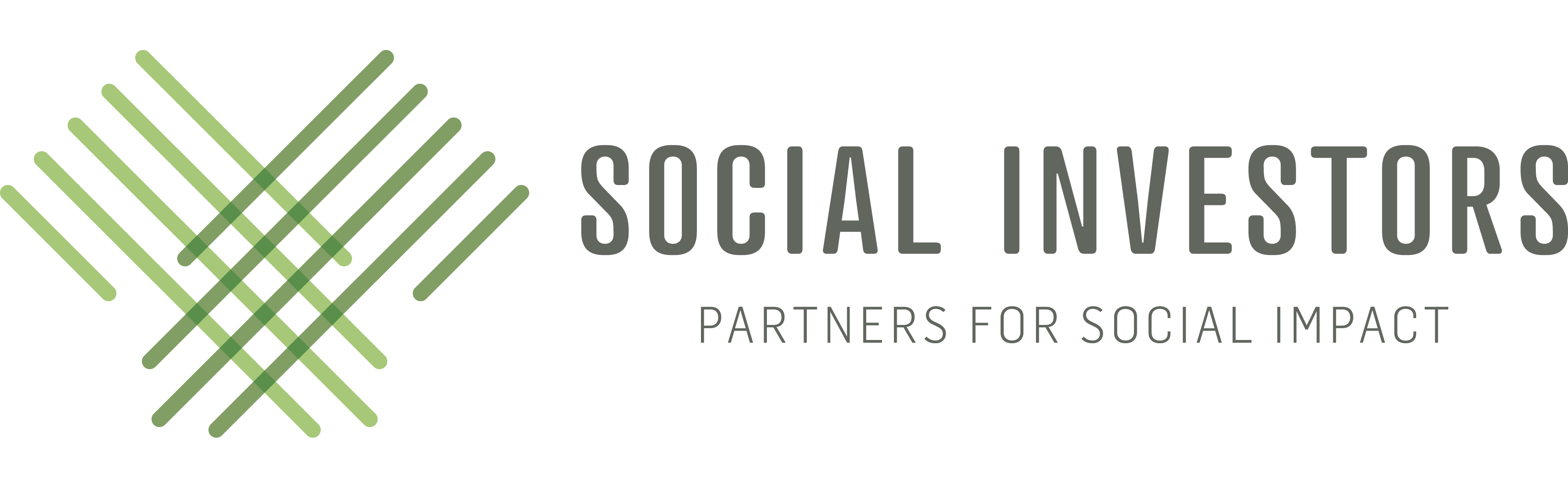 Partners for Social Impact
