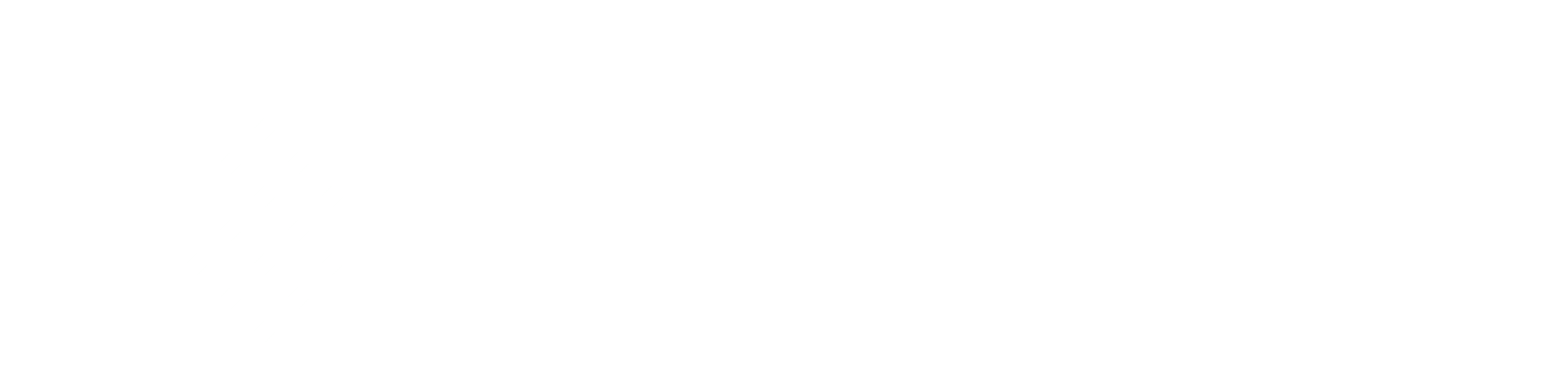 Partners for Social Impact